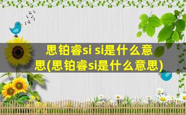 思铂睿si si是什么意思(思铂睿si是什么意思)